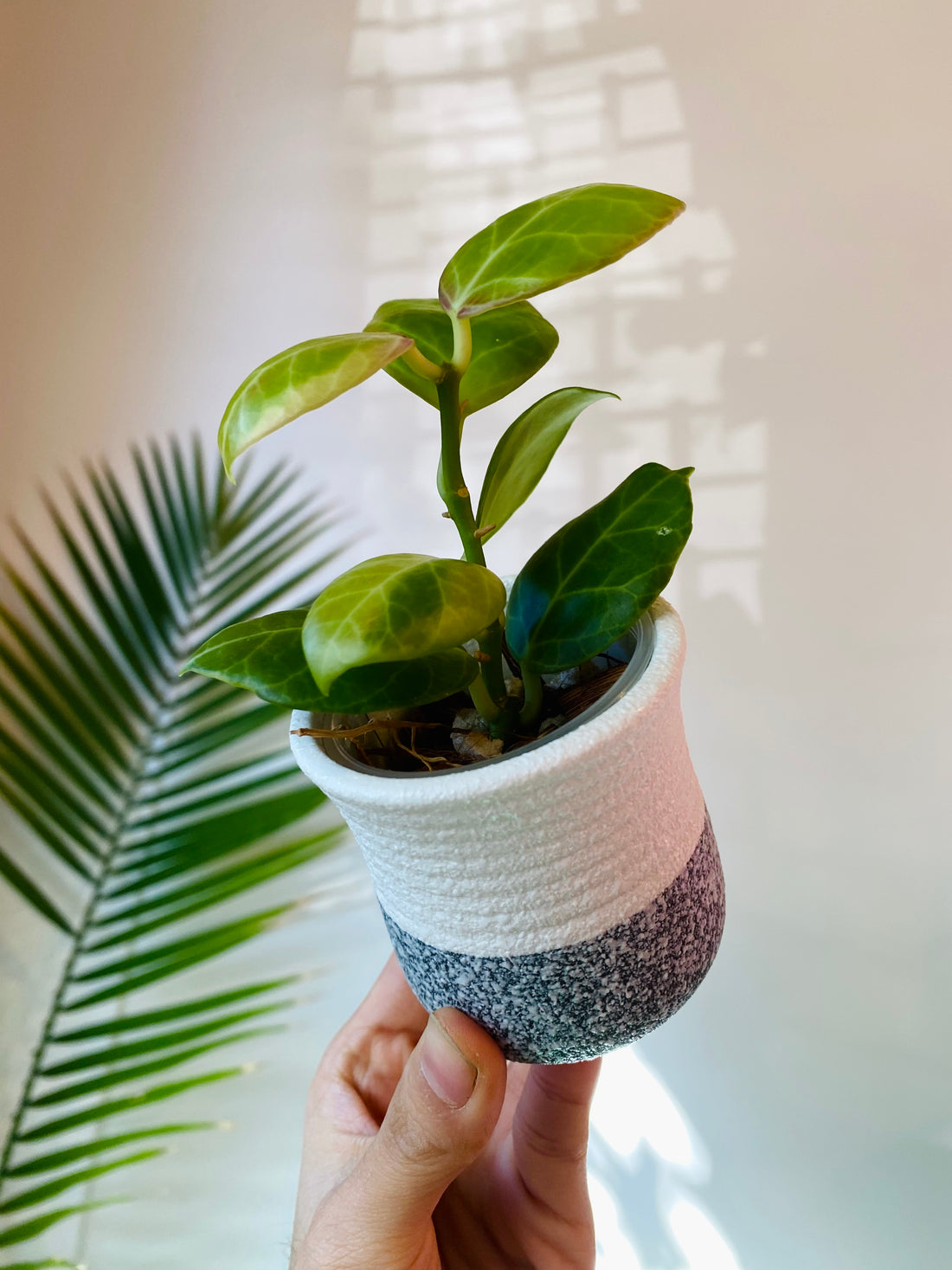 White Ceramic Planter with Drainage 