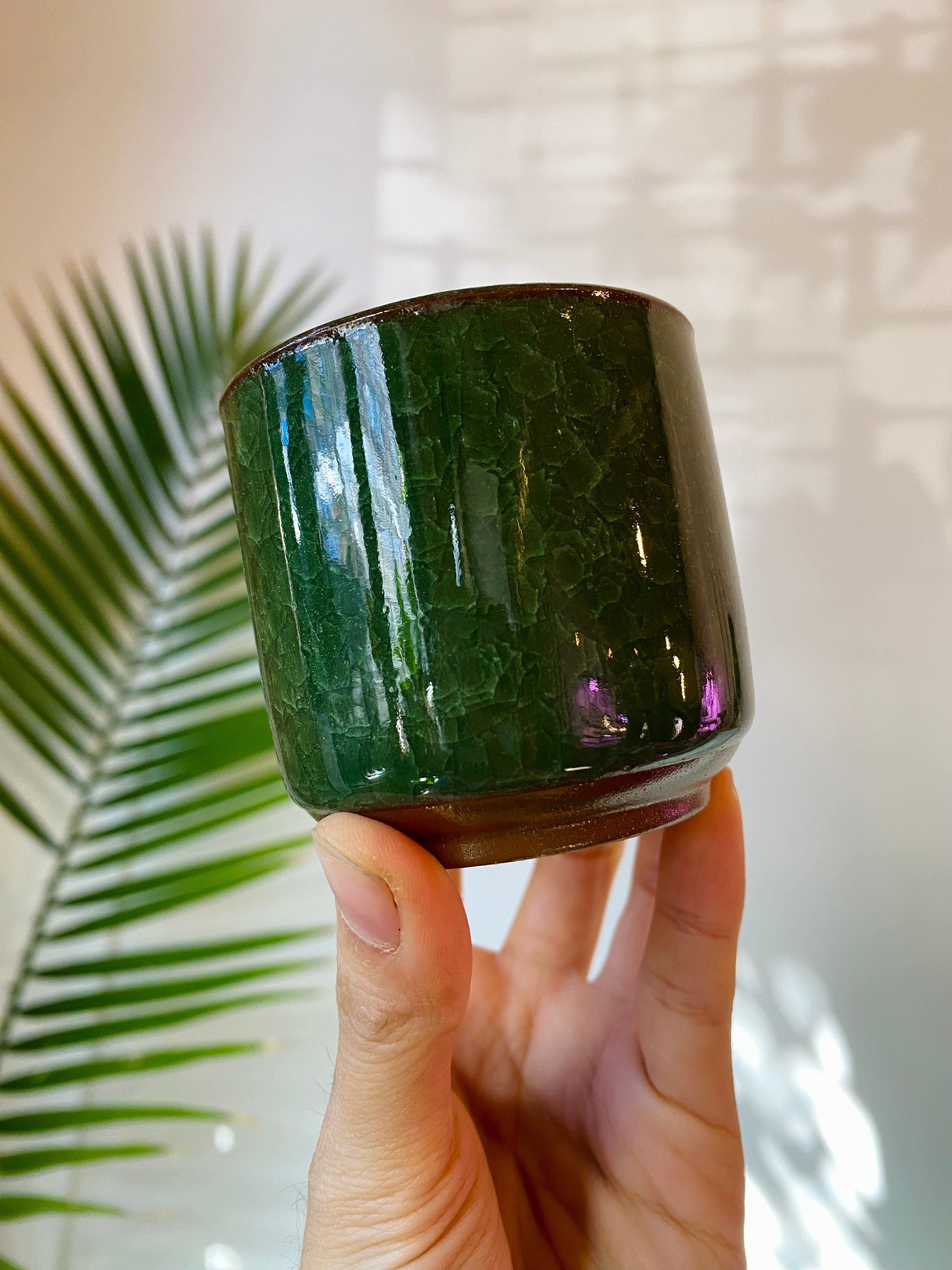 Dark Green Ceramic Planter with Drainage 