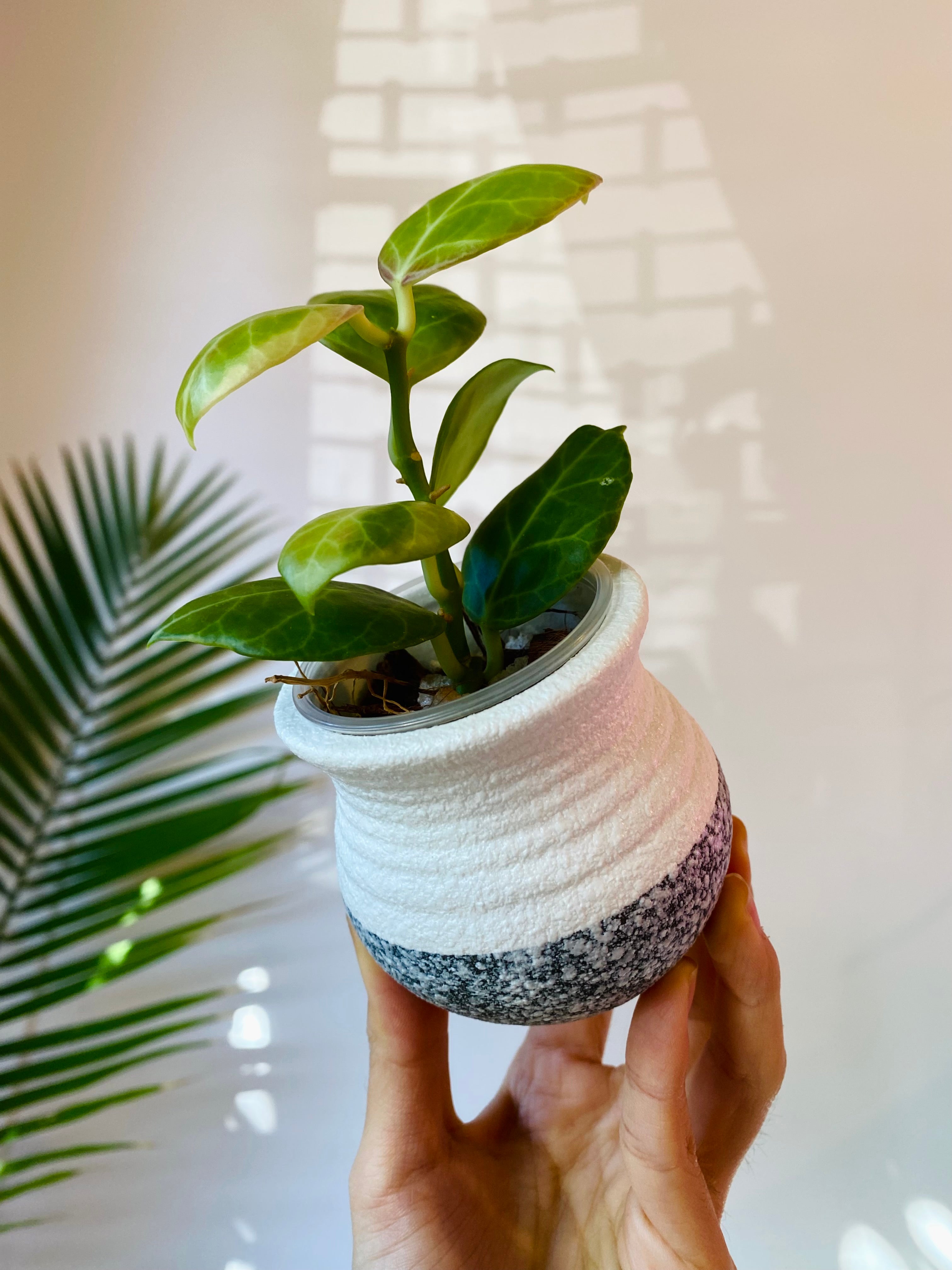 White Ceramic Planter with Drainage 